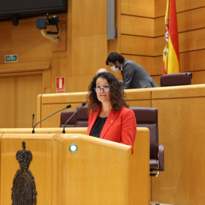 Esquerra leads an initiative at the Council of Europe urging Spain to apply amnesty for the victims of its reprisals and to negotiate self-determination for Catalonia