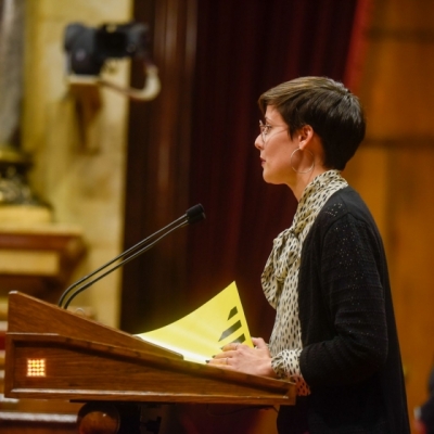 Parliament proposes the Government includes historical reparation mechanisms for transgender people