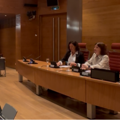 Esquerra Republicana alerts the Venice Commission to the Spanish judiciary’s lack of impartiality blocking the implementation of the Amnesty Law